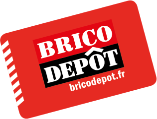 carte_Brico_Depot